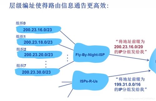 计算机网络网络层